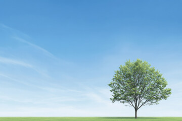 Obraz premium A tree stands in a field of grass, with a clear blue sky in the background