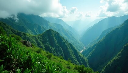 Obraz premium Emerald canopies stretch across mountain peaks, green, cloudy