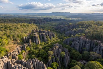 Aerial drone view of Tsingy de Bemaraha, Madagascar, showcasing sharp limestone formations and rugged landscape