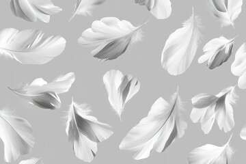 Floating white feathers on a gray background