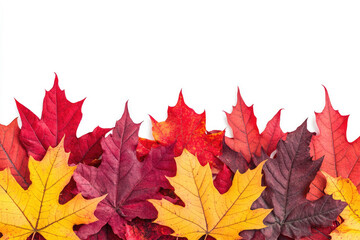 Vibrant Autumn Maple Leaves Border on White Background A Stunning Collection of Fall Foliage