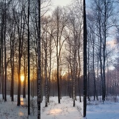 Winter forest sunrise triptych snowy trees, sunset, calm