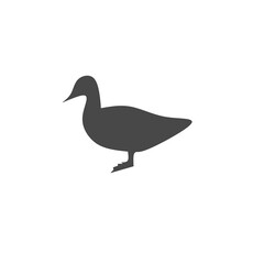 Animal icon 