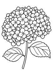 アジサイの塗り絵 A4 ベクター 線画