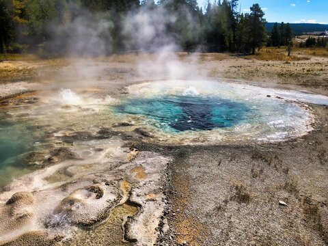 Spasmodic Geyser in Yellowstone National Park in Wyoming.