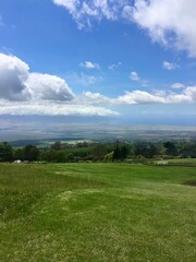green field and blue sky views