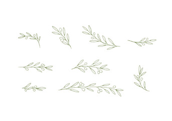 Olive Branch Line art Collection, botanical vector elements