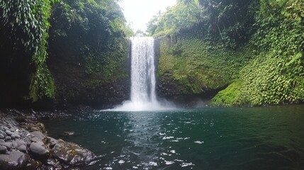 Serene Waterfall Surrounded by Lush Greenery in Tropical Paradise