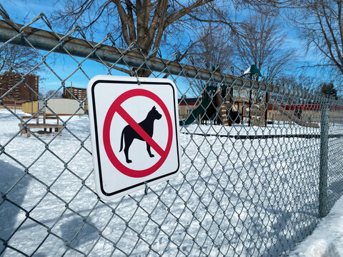No Dogs Allowed Sign on Playground Fence in Winter