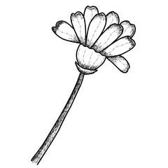 Single Flowers Artline for Coloring Page 