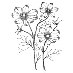 Flower artline colorful images illustration images icons