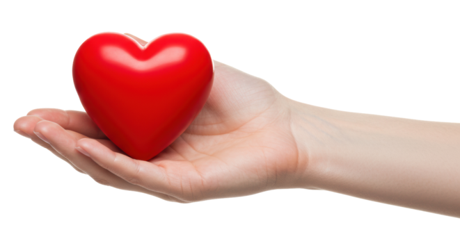 Hand Holding a Red Heart, Charity, Love, Donation, Healthcare, Giving, Health, Hope, Support, Kindness Isolated Transparent Background png