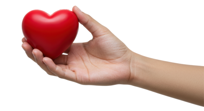 Hand Holding a Red Heart, Symbol of Love, Care, and Health Isolated Transparent Background png