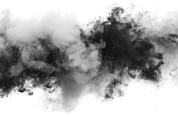 Abstract black and white smoke swirl on a white background