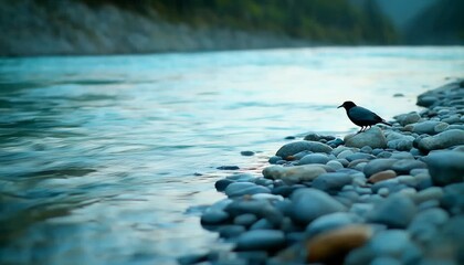 A solitary bird perches on smooth river rocks, near calm flowing water beside a tranquil forest.