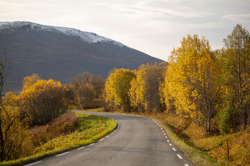 Autumn scenery in Lofoten Islands, Norway
