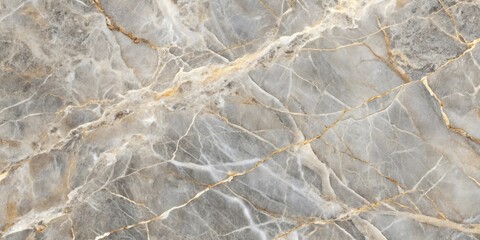 Fototapeta premium Close-up view of grey marble with intricate and delicate structural patterns, showcasing its texture and visual appeal in a unique and artistic way , architecture, structure
