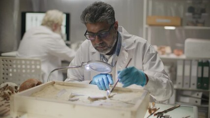Senior scientist using brush and trowel to unearth ancient bones in sand-filled tray under magnifying glass during archaeological research in laboratory