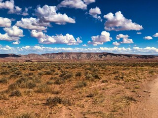 Fall View of Indian Blanket Near Bluff Utah.