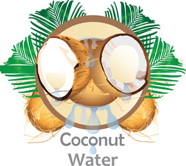 Coconut Water, Coconut Oil