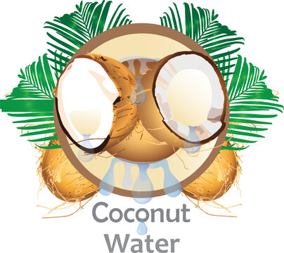 Coconut Water, Coconut Oil