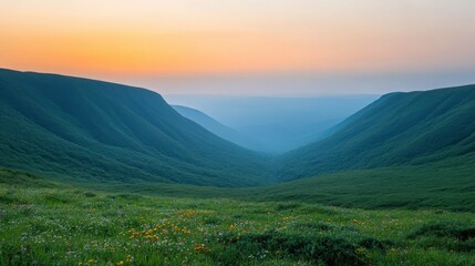 Fototapeta premium Breathtaking Valley View at Dawn with Vibrant Flora