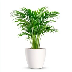 Lush Green Indoor Plant in Modern White Pot with Bright Leaves