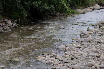 A polluted river with floating debris and rocks reflects nearby greenery and a concrete wall,...