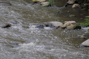 A polluted river with floating debris and rocks reflects nearby greenery and a concrete wall, highlighting urban environmental issues, bogota river