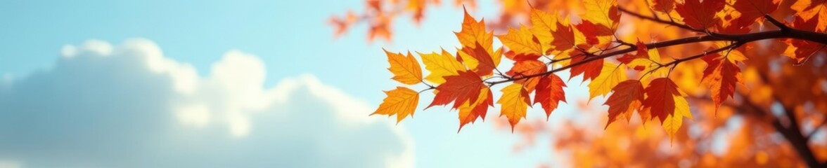 A branch heavy with autumn leaves stretches towards the sky, nature