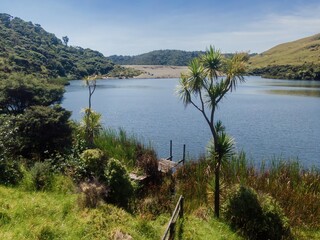 Peaceful Bethells lake scene with people relaxing on the shore. Wooden dock leads to the water,...