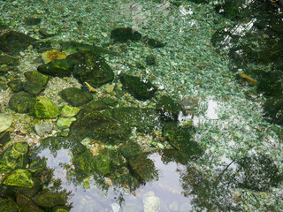 Natural mineral water source in the forest