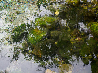 Natural mineral water source in the forest