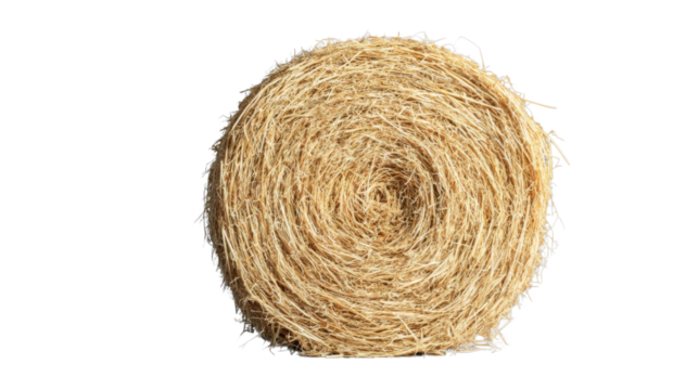 Round bale of hay isolated on transparent background