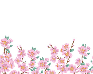 Hand Drawn Pink Cherry Blossom Background