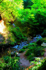 Interesting scene from Pieve Torina (MC) on the Sentiero delle Acque path, reaching the Sant'Angelo...