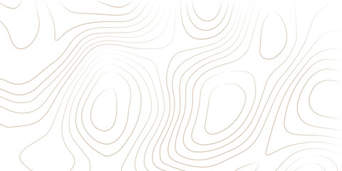 Abstract lines background. Contour maps. Topo contour map on white background. Abstract background with waves Geographic mountain relief.