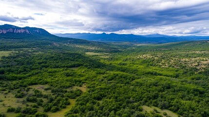Obraz premium Panoramic view of lush green valley with rolling hills under a dramatic cloudy sky in an expansive landscape : Generative AI