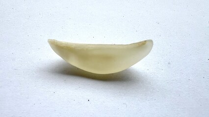 Isolated white transparent meat fruit from duku fruits (Lansium domesticum). This meat fruits consist sweet and sour taste with healthy vitamin