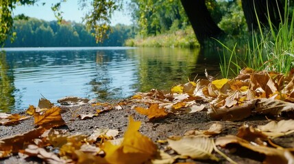 Obraz premium Autumn Leaves by Calm Lake Water