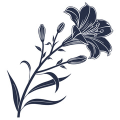 silhouette Flower on white background