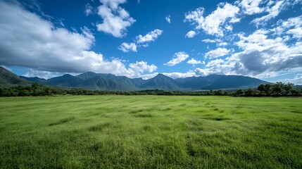 Fototapeta premium Expansive view of green grass field underneath a bright blue sky with majestic mountains in the background : Generative AI