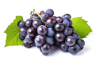 Fototapeta premium blue grape fruits with leaves isolated on white