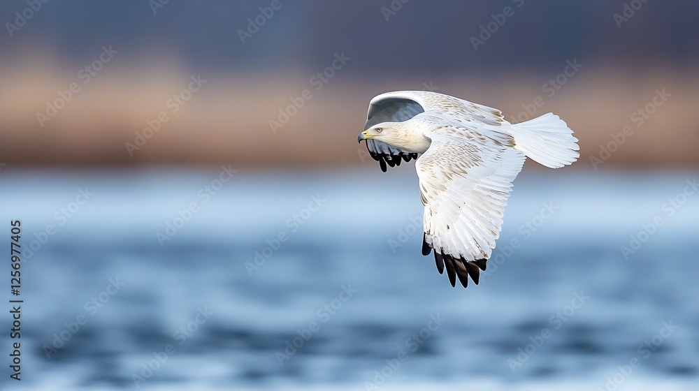 Poster majestic bird of prey soaring above the tranquil waters during a bright sunny day : generative ai