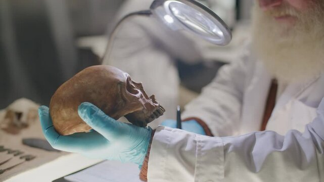 Elderly scientist in lab coat and gloves examining ancient skull under magnifying lamp and writing down notes at desk in archaeology laboratory