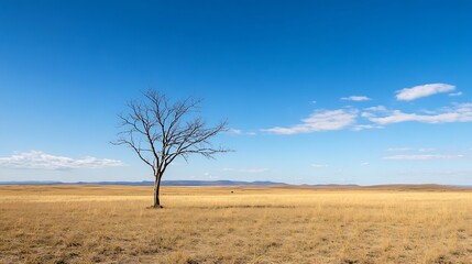 Fototapeta premium Isolated leafless tree standing alone in wide golden grassland under blue sky : Generative AI