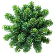 Christmas fir tree decoration top view isolated on transparent background