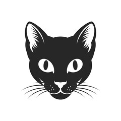 Obraz premium Mysterious Black Cat