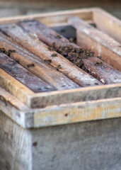 A beehive at a bee farm in Ben Tre, or Coconut Island, in the the Mekong Delta in Vietnam.