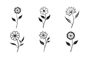 Coreopsis (Coreopsis spp.) fill and line art vector illustration